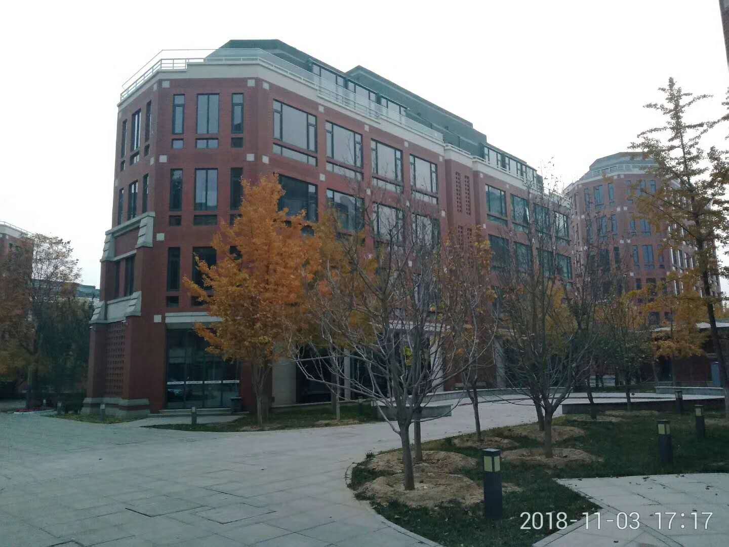 1656788466.jpg